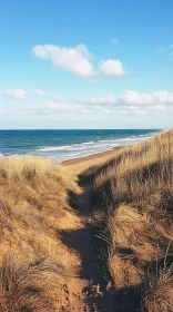 Secluded Pathway Through Dunes to Calm Ocean