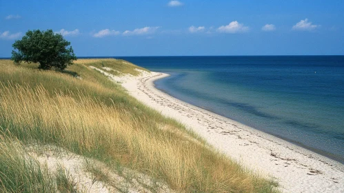 Tranquil Beach Scene with Sandy Dunes and Smooth Blue Sky