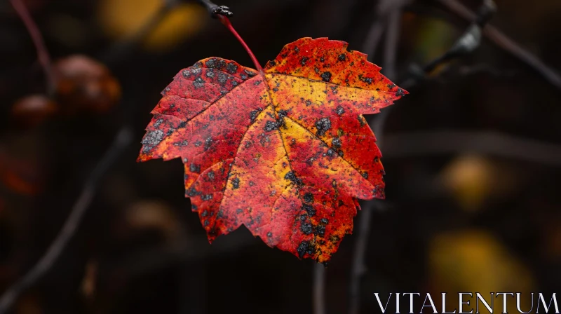 Colorful Autumn Leaf Macro Photography AI Image