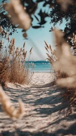 Tranquil Beach Pathway and Ocean View