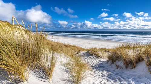 Coastal Beauty with Sand Dunes and Open Sky