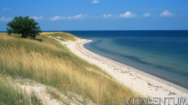 AI ART Tranquil Beach Scene with Sandy Dunes and Smooth Blue Sky