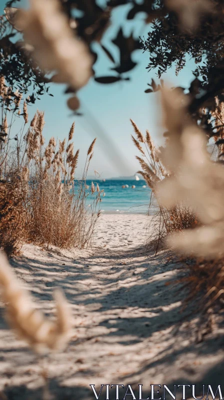 Tranquil Beach Pathway and Ocean View AI Image