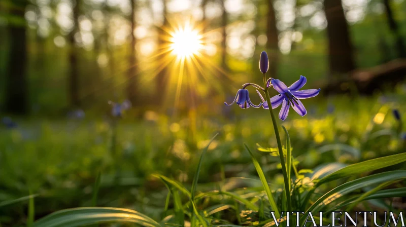 Sunlit Bluebell in Forest AI Image