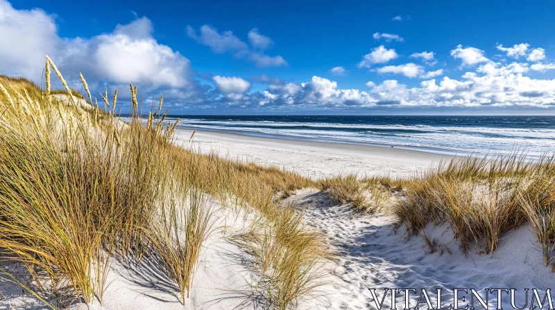 Coastal Beauty with Sand Dunes and Open Sky AI Image