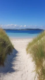 Coastal Serenity: Beach Path through Dunes