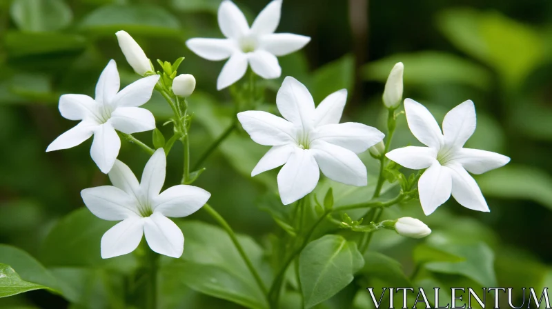 AI ART Pristine White Blossoms with Green Foliage