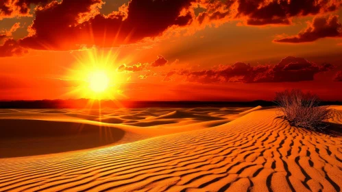 Desert Landscape with Sand Dunes and Setting Sun Desert Landscape with Sand Dunes and Setting Sun