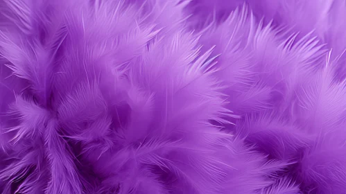 Soothing Purple Feathers Texture Soothing Purple Feathers Texture